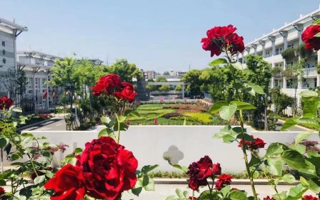 南都门范大学从属尝试黉舍是公立仍是私立,是重点中学吗？