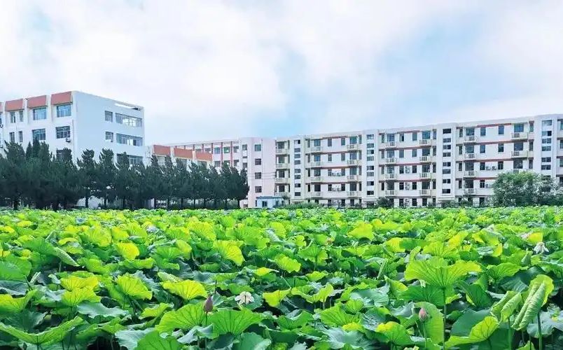 南京前景尝试中学在南京的排名第几,南外属于甚么条理?