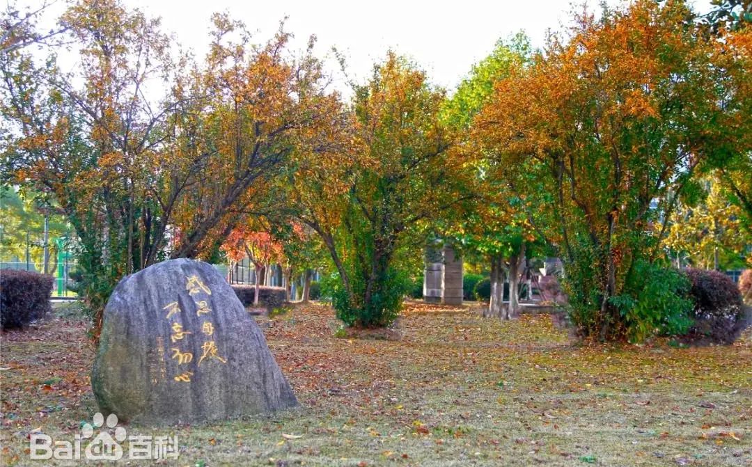 江苏省梁丰高等中黉舍区在哪_在哪一个区?