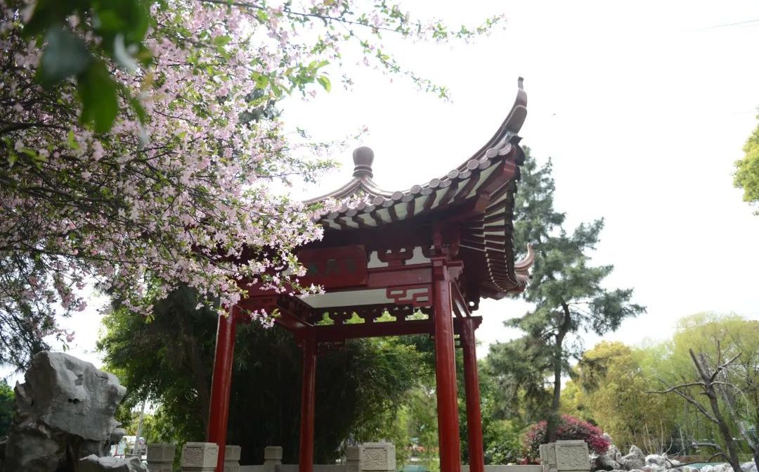 吴江盛泽中学简介概略（建校汗青、地点、师资、校训、情况）