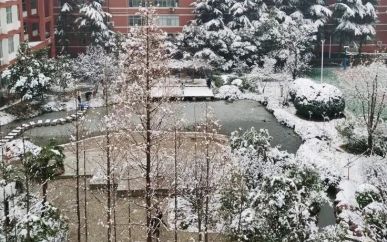 郑州本国语黉舍在郑州的排名第几,南外属于甚么层次？