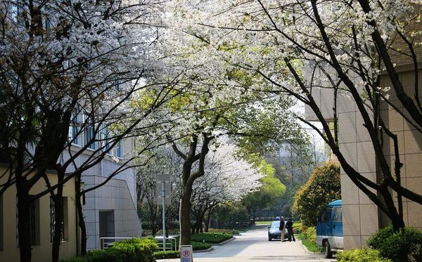 杭州第十四中学简介概略（建校汗青、地点、师资、校训、情况）