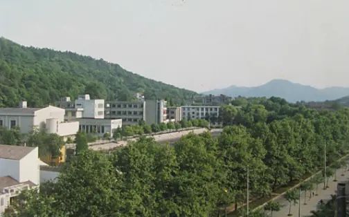 浙江大学从属中学有几个校区_别离在哪?