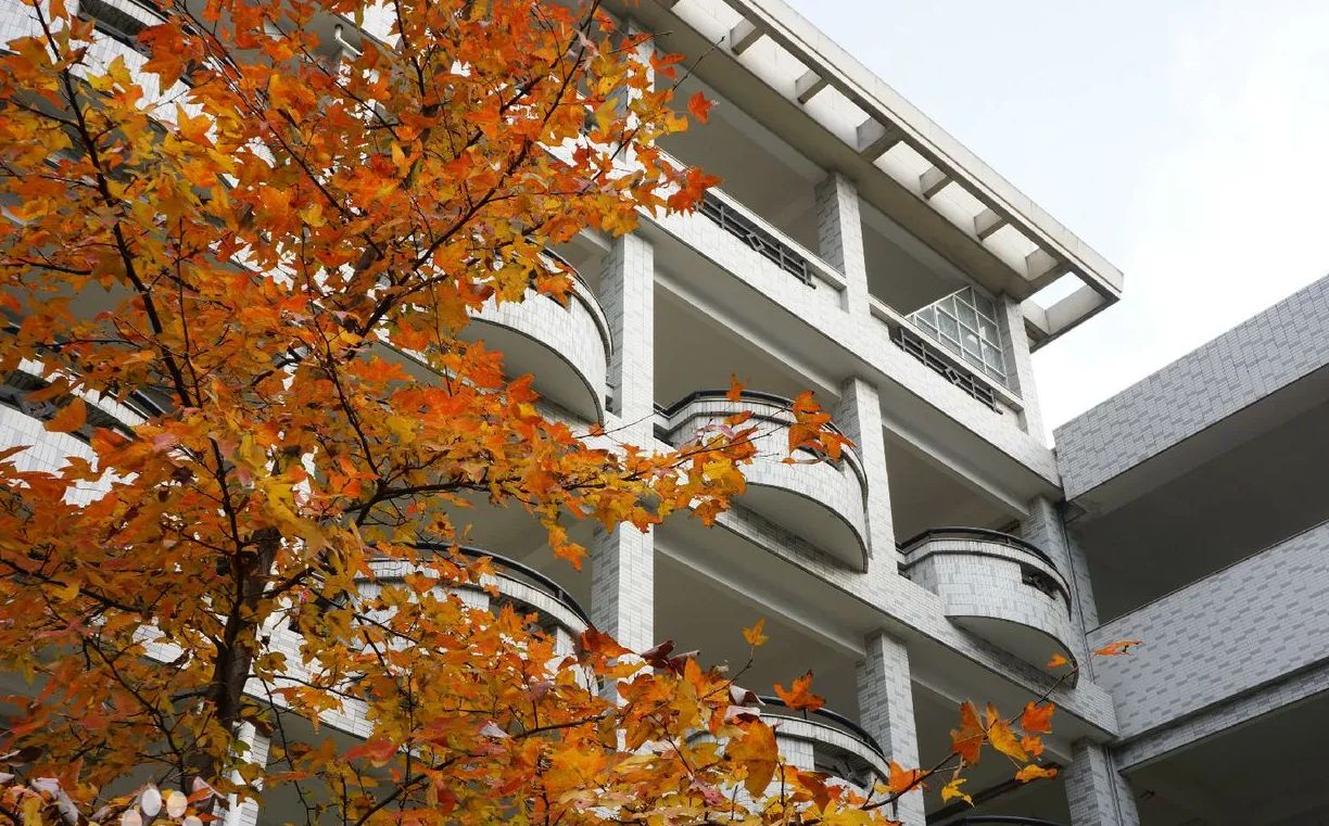 杭州市源清中学是公立仍是私立,是重点中学吗？