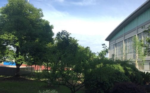 杭州市夏衍中学简介概略（建校汗青、地点、师资、校训、情况）