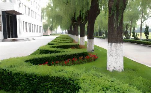 阿城一中简介概略(建校汗青、地点、师资、校训、情况)