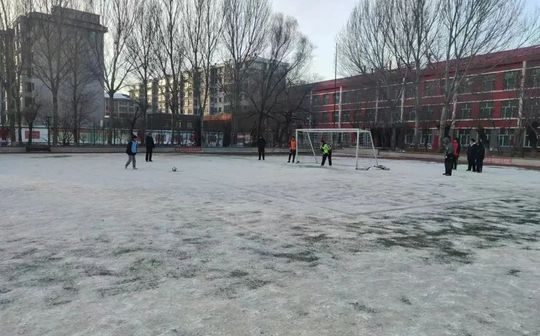 哈尔滨市双城区兆麟中学是公立仍是私立,是重点中学吗？