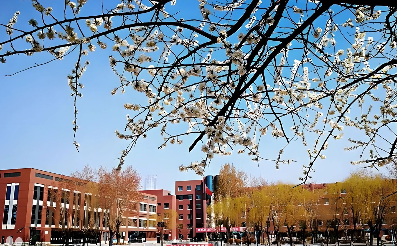 沈阳市第一中学是公立仍是私立,是重点中学吗？