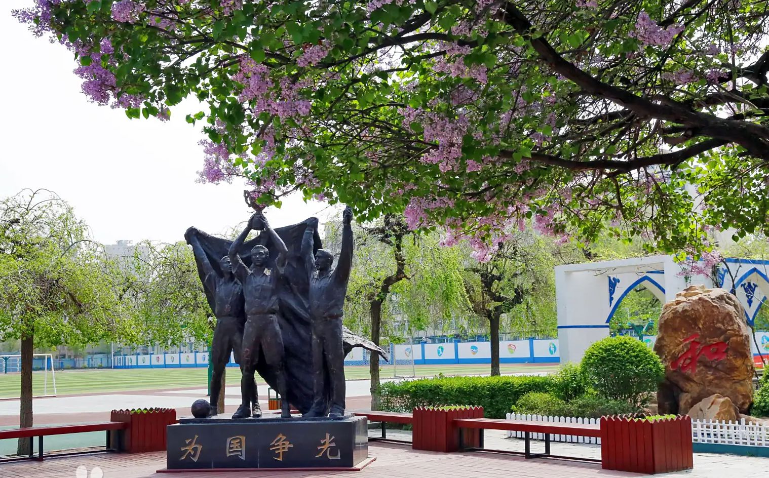 沈阳市回民中黉舍区在哪_在甚么区?