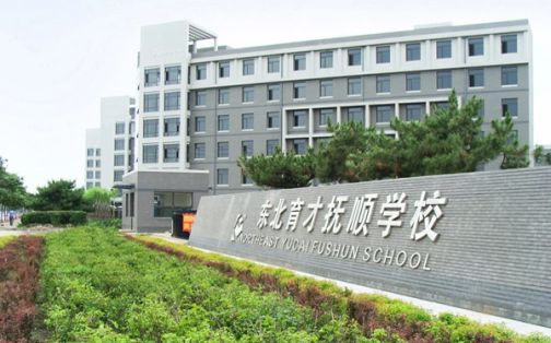 沈抚养才尝试黉舍简介概略（建校汗青、地点、师资、校训、情况）
