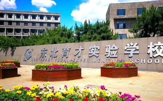 沈抚养才尝试黉舍是公立仍是私立,是重点中学吗？