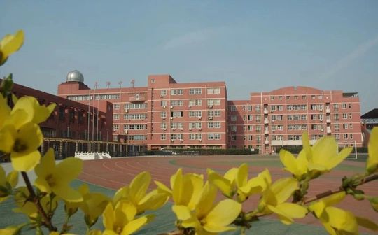 天津中黉舍区在哪_在甚么区？