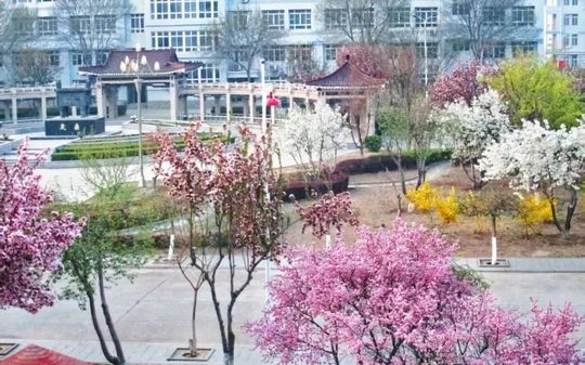 天津市静海区第一中学简介概略（建校汗青、地点、师资、校训、情况）