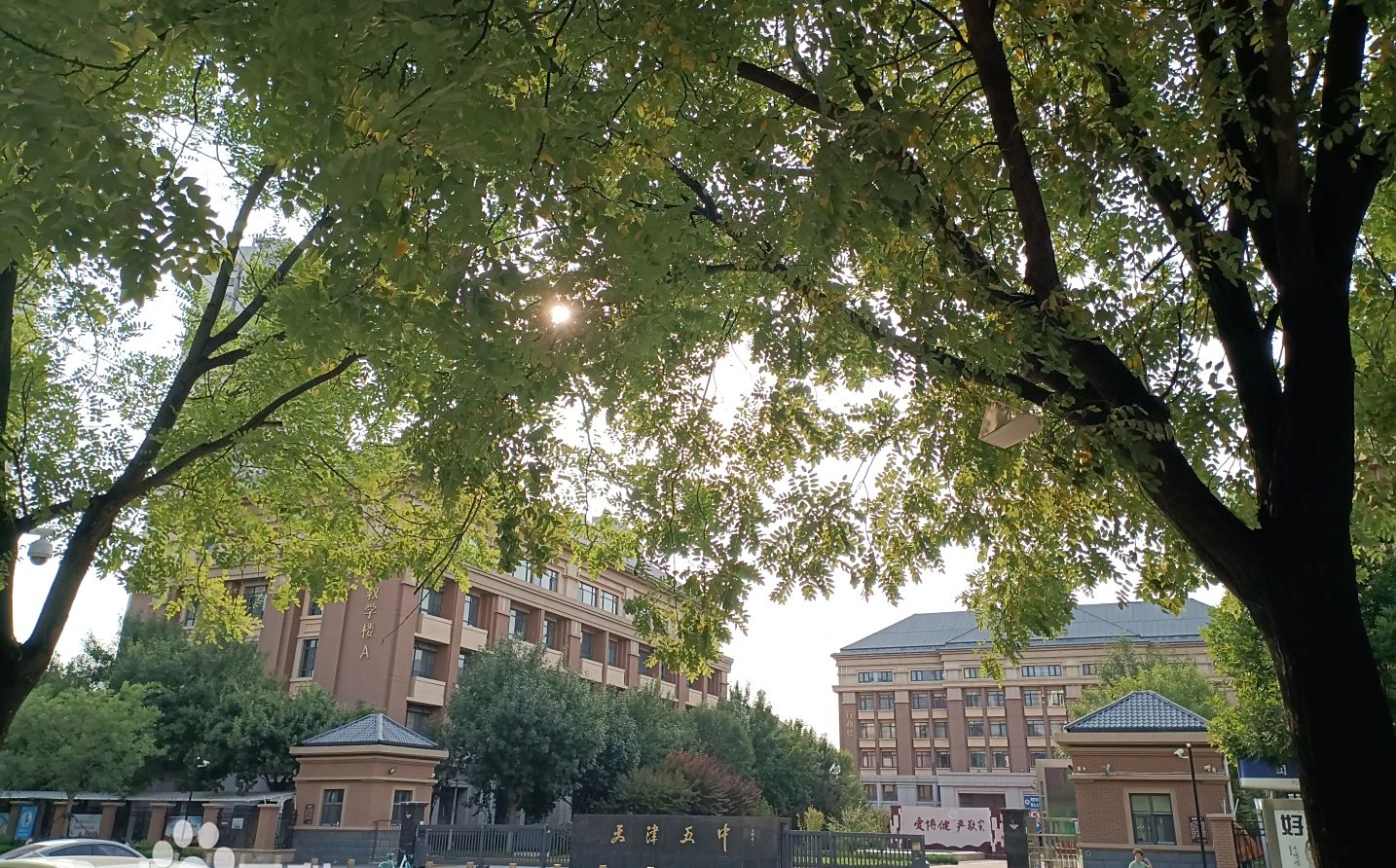 天津市第五中黉舍区在哪_在甚么区?