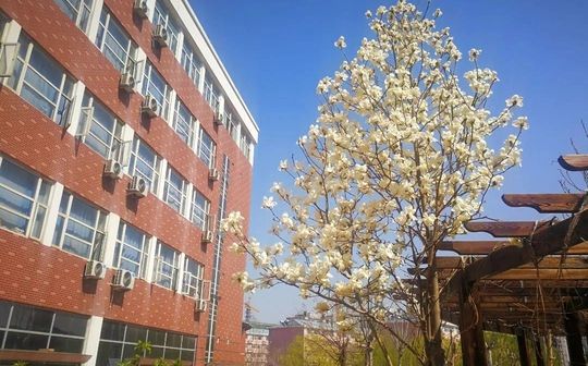 石家庄市鹿泉区第一中学在石家庄的排名第几,属于甚么层次？