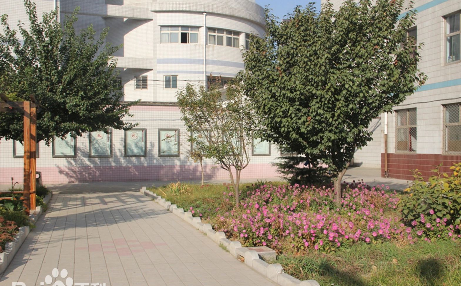 石家庄市藁城区第九中黉舍区在哪_在甚么区?