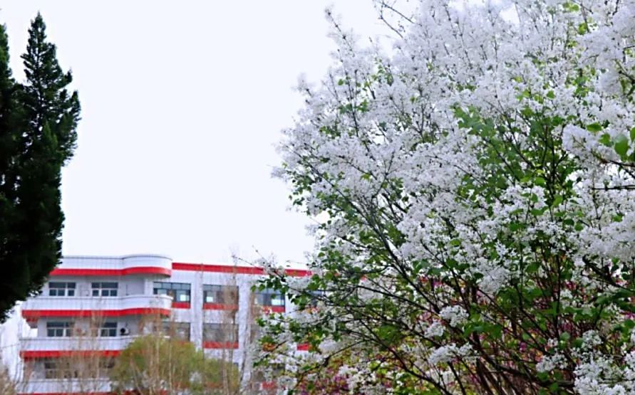 山东省济北中学是公立仍是私立,是重点中学吗？