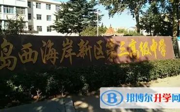 青岛西海岸新区第三高等中学是公立仍是私立,是重点中学吗？