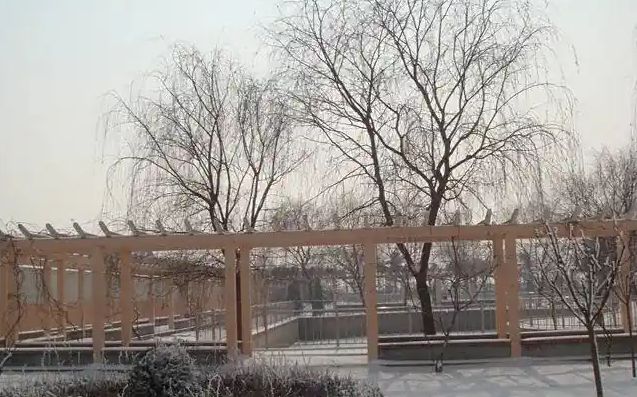青岛市即墨区第四中黉舍区在哪_在甚么区？