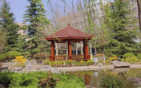 即墨区市北中黉舍区在哪_在甚么区？
