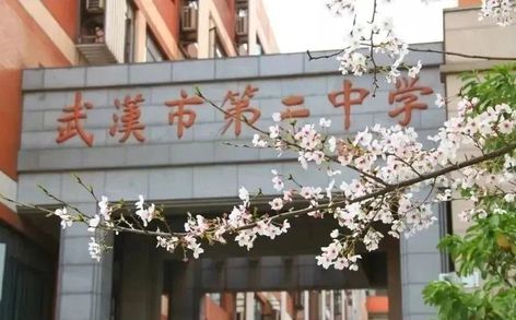 优游市第二中黉舍区在哪_在甚么区？