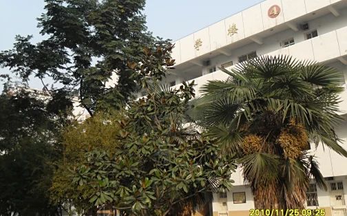 优游市第三中学在优游的排名第几,属于甚么层次？