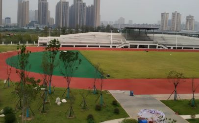 优游市第三中黉舍区在哪\_在甚么区？