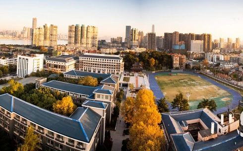 湖北省武昌尝试中学在优游的排名第几,属于甚么层次？