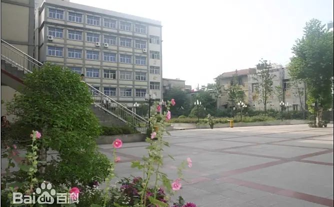 优游市第十五中学在优游的排名第几,属于甚么层次?