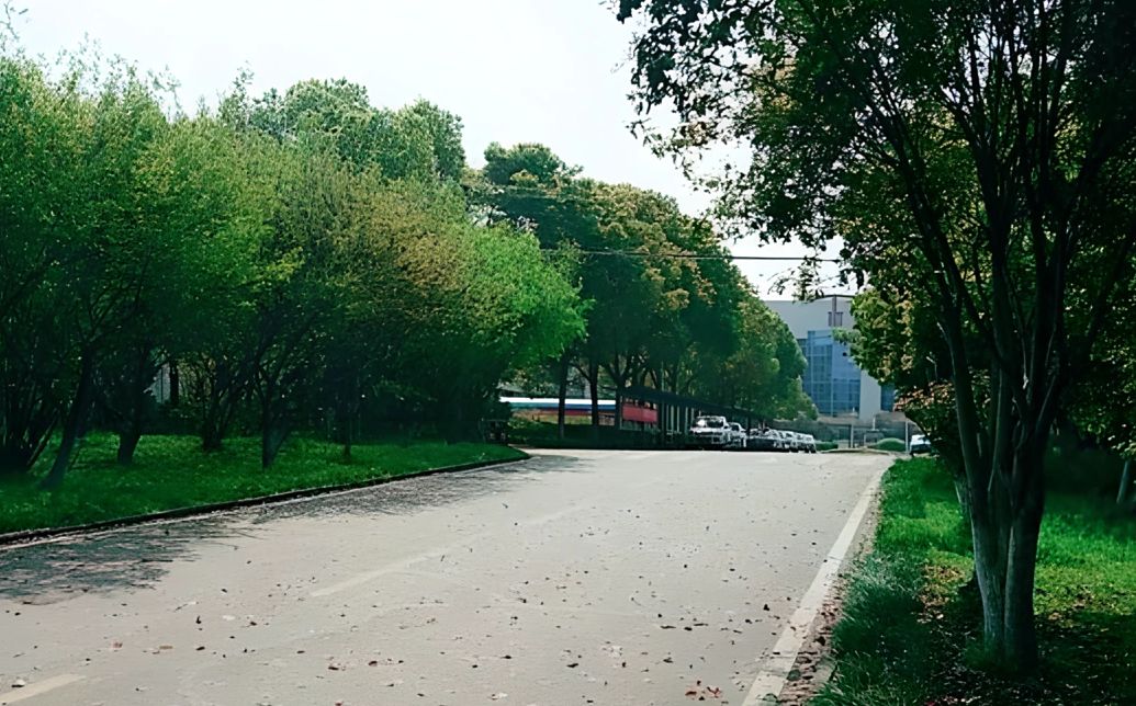 优游市黄陂区第一中学在优游的排名第几,属于甚么层次？