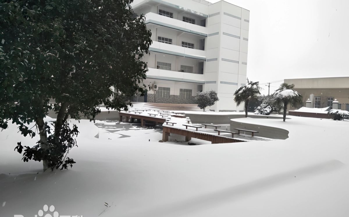 优游市黄陂区第一中学是公立仍是私立,是重点中学吗？