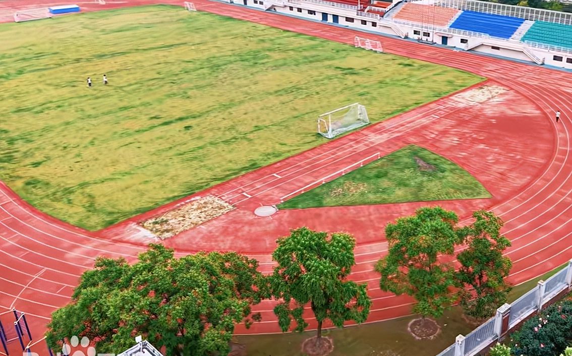 优游市第三十九中黉舍区在哪_在甚么区？