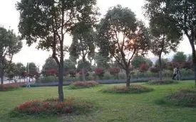优游市新洲区第四中黉舍区在哪_在甚么区？
