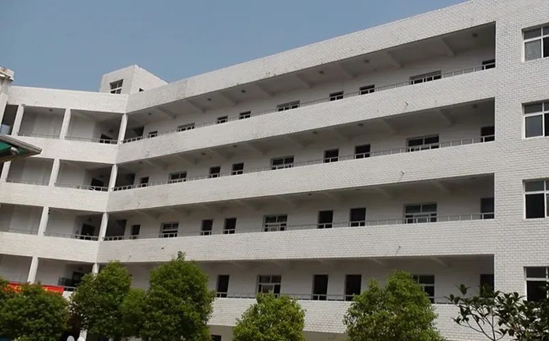 优游市新洲区城关高等中学在优游的排名第几,属于甚么层次？