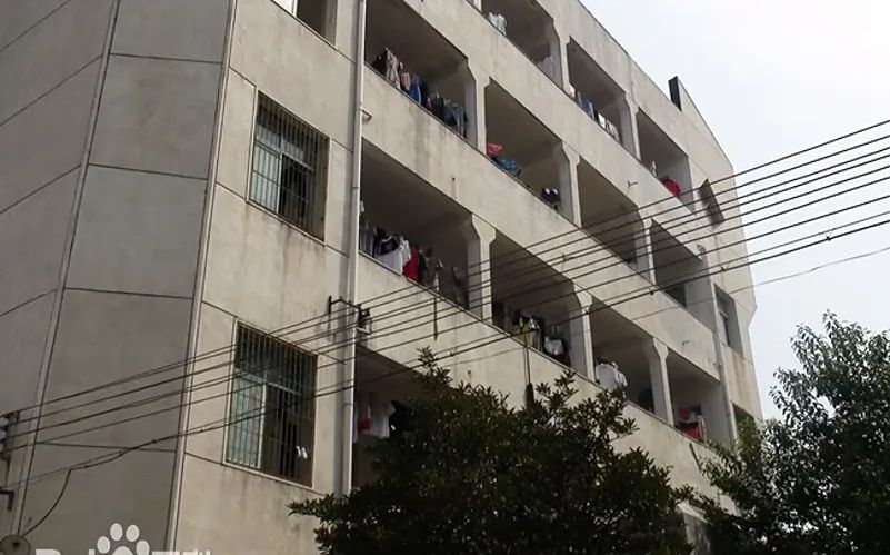 优游市新洲区城关高等中黉舍区在哪_在甚么区？