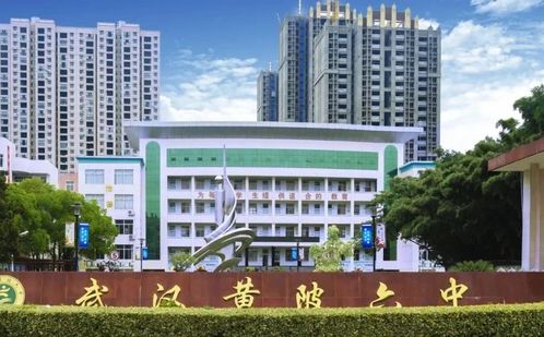 优游市黄陂区第六中学简介概略（建校汗青、地点、师资、校训、情况）