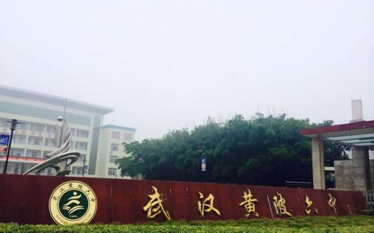 优游市黄陂区第六中学在优游的排名第几,属于甚么层次？