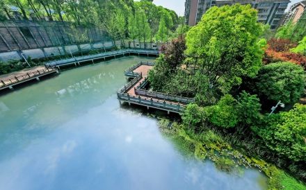 长沙市南雅中学是公立仍是私立,是重点中学吗？