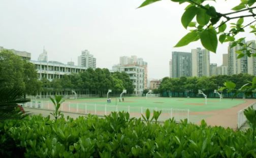 湖南省地质中学在长沙的排名第几,属于甚么层次？