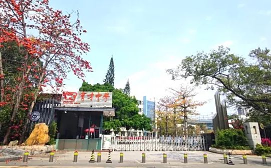 深圳育才中学是公立仍是私立,是重点中学吗?