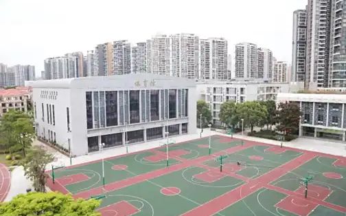 深圳市新安中学在深圳的排名第几,属于甚么层次？