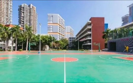 深圳华裔城高等中学是公立仍是私立,是重点中学吗？