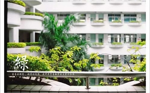 深圳市罗湖外语黉舍在深圳的排名第几,属于甚么层次?