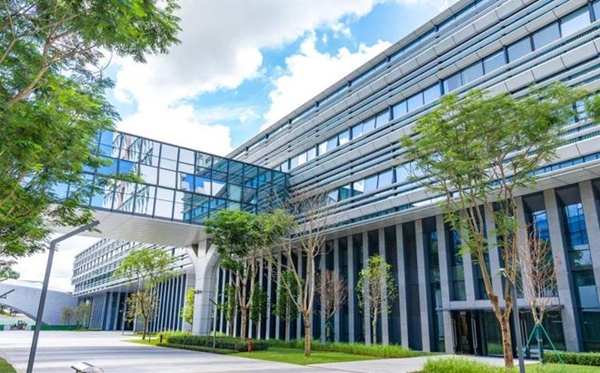大湾区大学地点在那里？