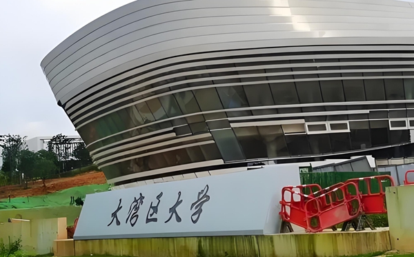 大湾区大学是公办仍是民办？