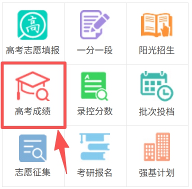 2026年湖北教导测验网高考绩绩查问进口（//www.hbccks.cn）