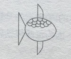 鱼鳞的变更谜底